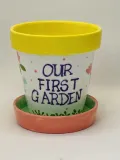 Plant Pot